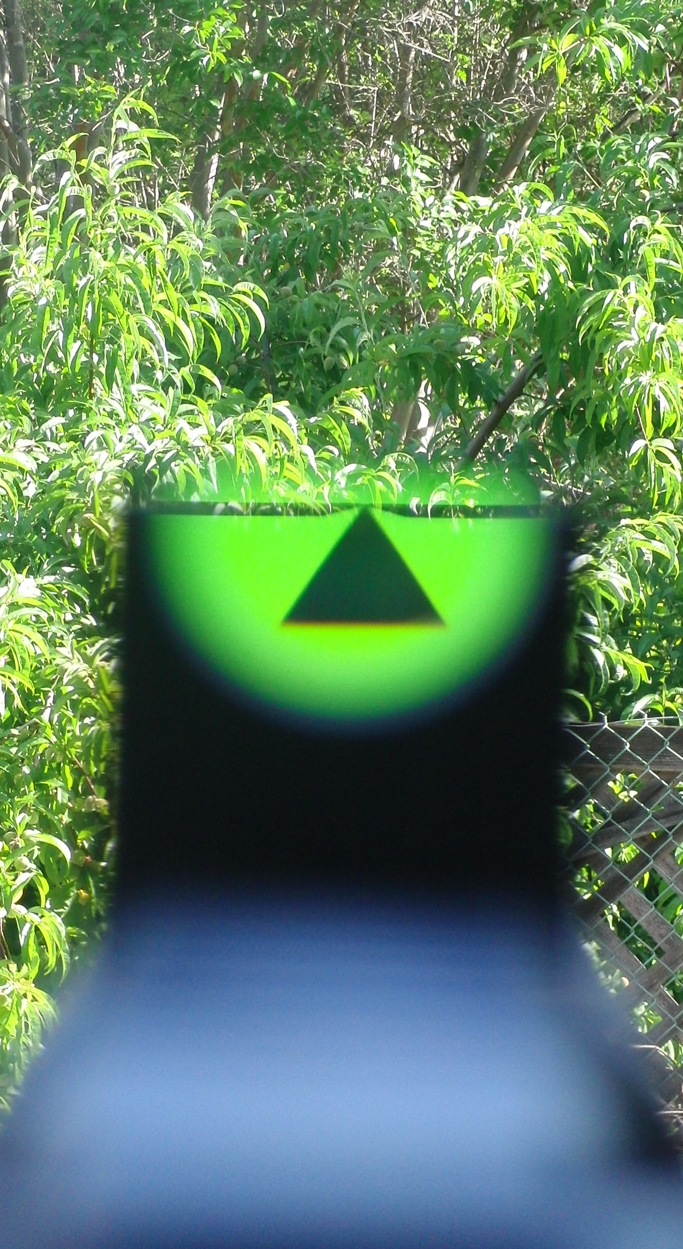 See
                                                          All Open Sight
                                                          photo